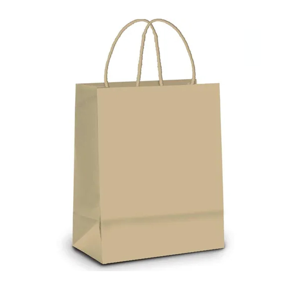SACOLA PAPEL M 26X19,5X9,5CM KRAFT PARDO - CROMUS -  PACOTE 10 UNIDADES SACOLA PAPEL M 26X19,5X9,5CM KRAFT PARDO - CROMUS -  PACOTE 10 UNIDADES