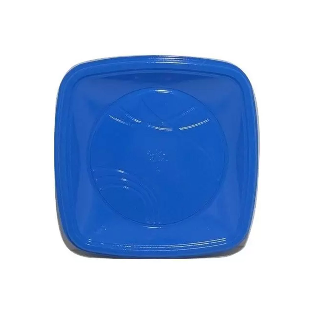 PRATO PLÁSTICO DESCARTÁVEL QUADRADO 21CM AZUL TRIK C/10 UNIDADES PRATO PLÁSTICO DESCARTÁVEL QUADRADO 21CM AZUL TRIK C/10 UNIDADES