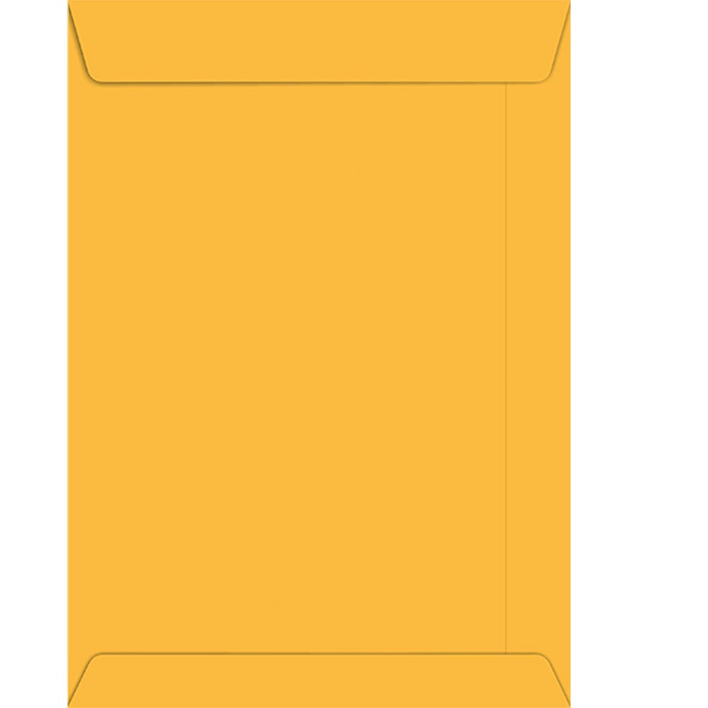 ENVELOPE 17X25 OURO C/10 UNIDADES FORONI BLISTER  ENVELOPE 17X25 OURO C/10 UNIDADES FORONI BLISTER