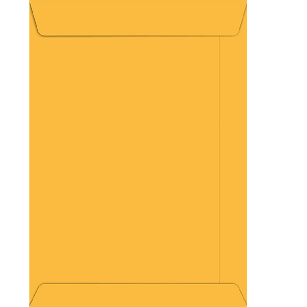 ENVELOPE 20X28 OURO C/10 UNIDADES BLISTER - FORONI           ENVELOPE 20X28 OURO C/10 UNIDADES BLISTER - FORONI