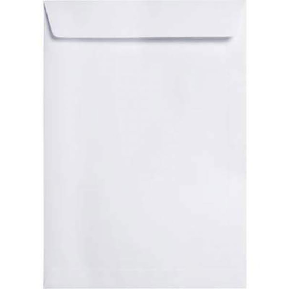 ENVELOPE 22X32 BRANCO C/10 UNIDADES BLISTER - FORONI  ENVELOPE 22X32 BRANCO C/10 UNIDADES BLISTER - FORONI