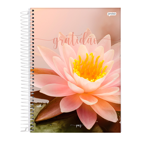 CADERNO UNIVERSITARIO 12 MATERIAS CAPA DURA PAZ JANDAIA 68777-77 192FLS                                                                                                                                                               
