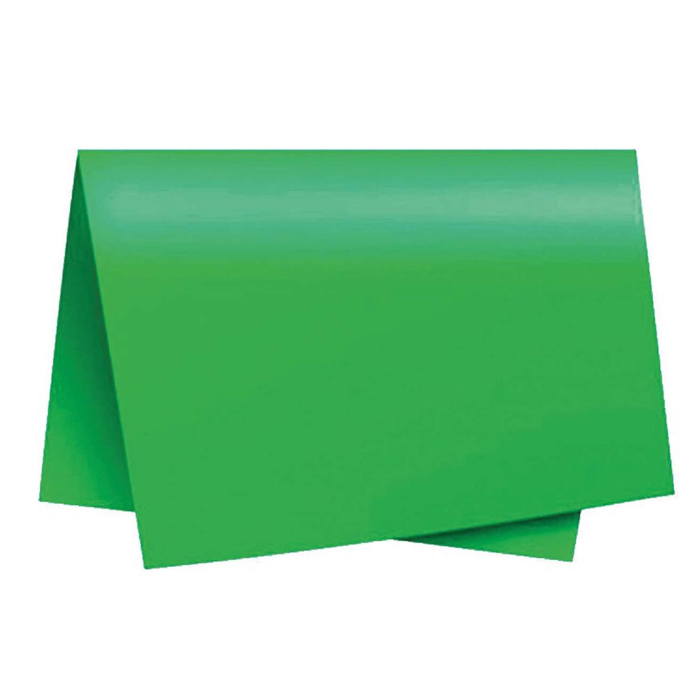 CARTOLINA ESCOLAR VERDE 120G REIPEL<br> CARTOLINA ESCOLAR VERDE 120G REIPEL<br>