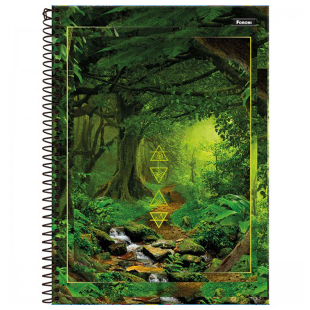 CADERNO UNIVERSITÁRIO 1X1 CAPA DURA 4 ELEMENTOS 80FL FORONI CADERNO UNIVERSITÁRIO 1X1 CAPA DURA 4 ELEMENTOS 80FL FORONI