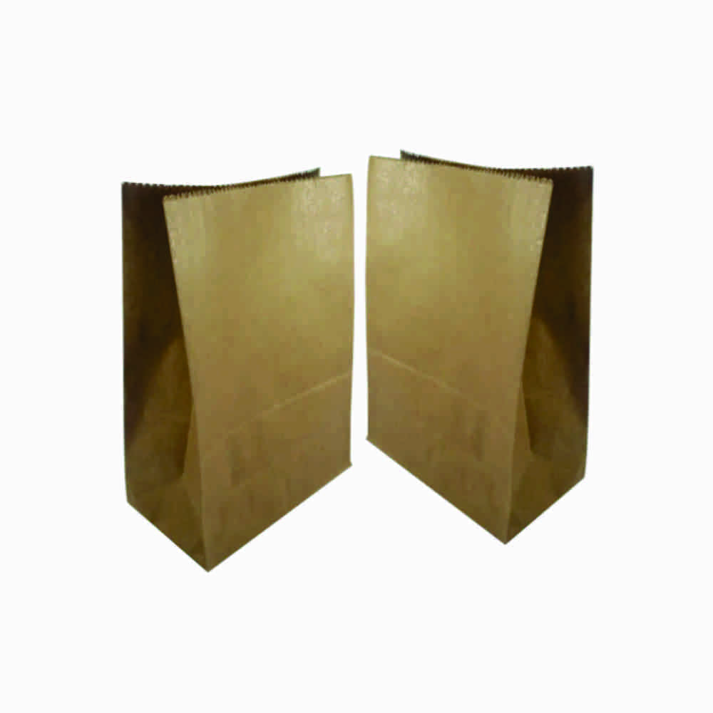 SACO PAPEL KRAFT DELIVERY LISO P STAMP                                                                                                                                                                 SACO PAPEL KRAFT DELIVERY LISO P STAMP