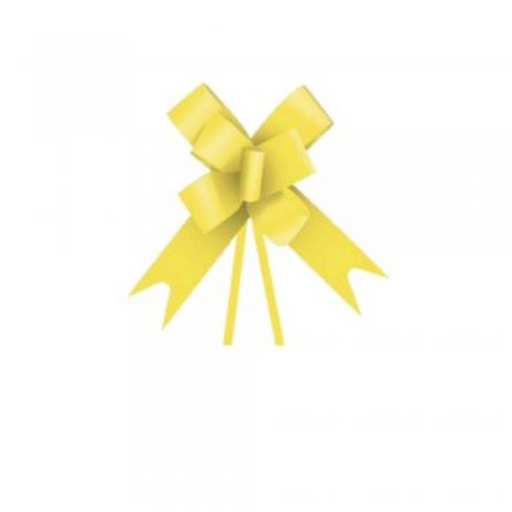 LACO FACIL LISO 16MMX39CM AM FESTCOLOR    LACO FACIL LISO 16MMX39CM AM FESTCOLOR