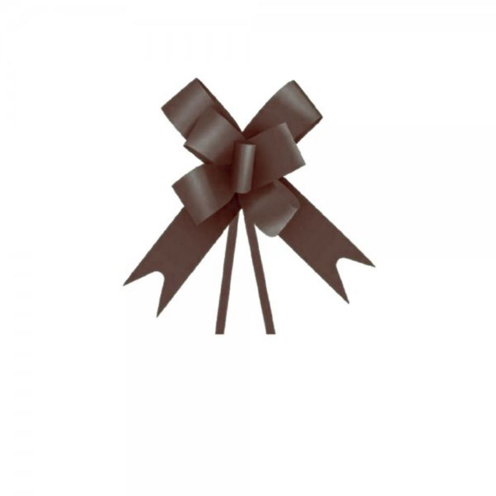 LACO FACIL LISO 16MMX39CM MARROM FESTCOLOR  LACO FACIL LISO 16MMX39CM MARROM FESTCOLOR