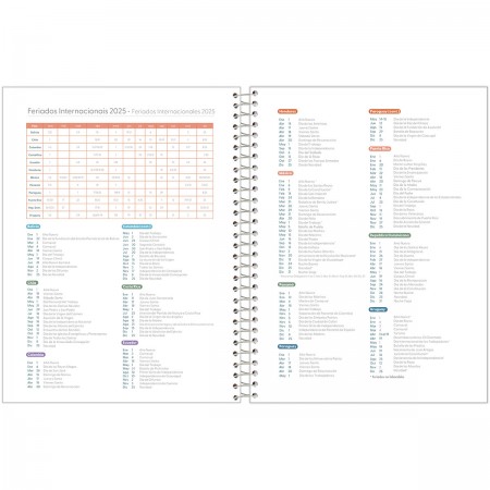AGENDA PLANNER ESP FLUOR MIX SOFT FORONI 80FL                                                                                                                                                            AGENDA PLANNER ESP FLUOR MIX SOFT FORONI 80FL