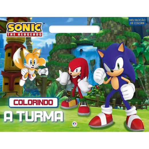 LIVRO SONIC COLORINDO A TURMA CIRANDA  LIVRO SONIC COLORINDO A TURMA CIRANDA